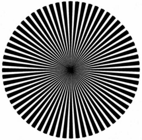 Find out what kind of genius you are by looking at this optical illusion