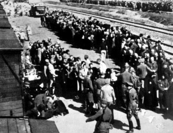 Across Europe, Jews were gathered and transported to ghettos and concentration camps in train cars.