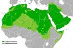 Jaký je rozdíl mezi Araby a muslimy?