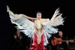Flamenco: the history of Spanish music and dance