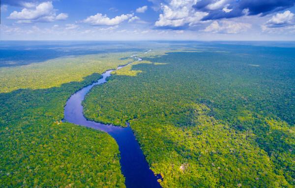 Aerial view of a forested area crossed by a river in the Amazon.