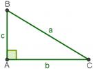 Тригонометрія в прямокутному трикутнику