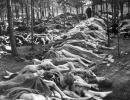 Holocaust: what was it, consequences, death toll and movies