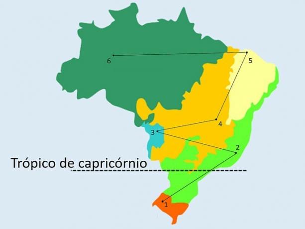 Gyakorlatok a brazil biomokkal kapcsolatban