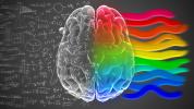 Brain: functions, parts, anatomy, curiosities